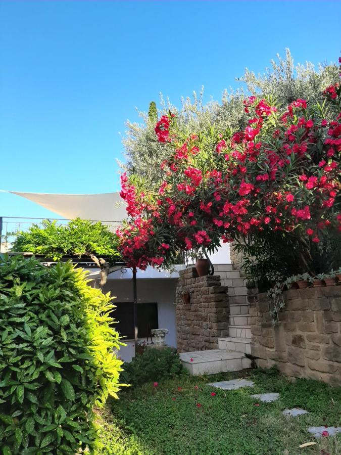 Studio Vita Fjesa Εξωτερικό φωτογραφία